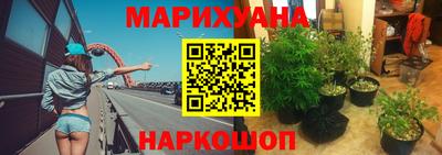 эйфоретик Берёзовский