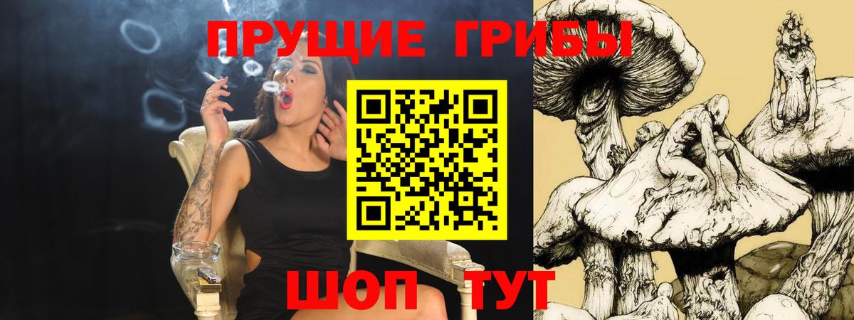 Галлюциногенные грибы GOLDEN TEACHER Кириши