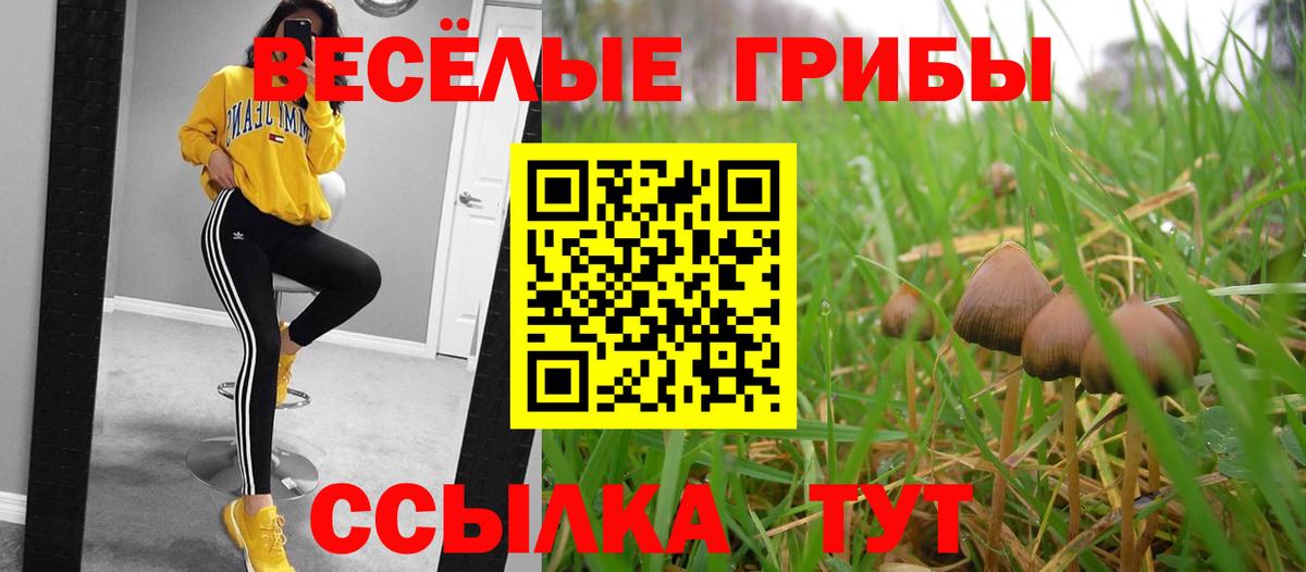 Кириши  Псилоцибиновые грибы GOLDEN TEACHER  Галлюциногенные грибы GOLDEN TEACHER  Вход с VPN 